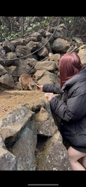 伊豆シャボテン動物公園に投稿された画像（2025/3/20）