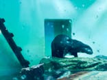 しながわ水族館に投稿された画像（2025/3/20）