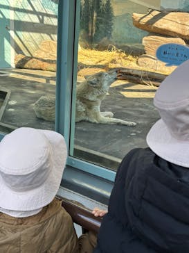 天王寺動物園に投稿された画像（2025/3/20）