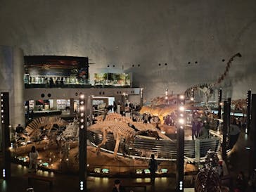 福井県立恐竜博物館に投稿された画像（2025/3/20）