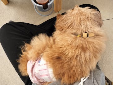 Moff アニマル カフェ イーアス 高尾店に投稿された画像（2025/3/20）