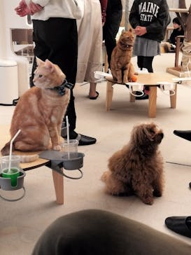 Moff アニマル カフェ イーアス 高尾店に投稿された画像（2025/3/20）