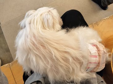 Moff アニマル カフェ イーアス 高尾店に投稿された画像（2025/3/20）