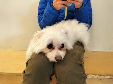 Moff アニマル カフェ イーアス 高尾店に投稿された画像（2025/3/20）