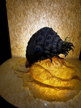 金曜ロードショーとジブリ展　三重展に投稿された画像（2025/3/20）