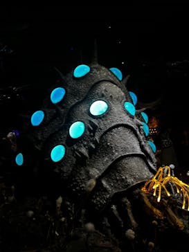 金曜ロードショーとジブリ展　三重展に投稿された画像（2025/3/20）