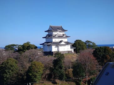 小田原城に投稿された画像（2025/3/20）