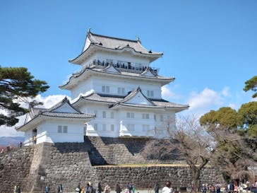 小田原城に投稿された画像（2025/3/20）