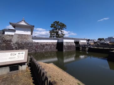 小田原城に投稿された画像（2025/3/20）