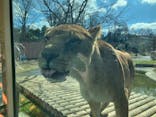 東京動物園協会_多摩動物公園に投稿された画像（2025/3/20）