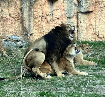 東京動物園協会_多摩動物公園に投稿された画像（2025/3/20）