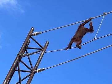 東京動物園協会_多摩動物公園に投稿された画像（2025/3/20）