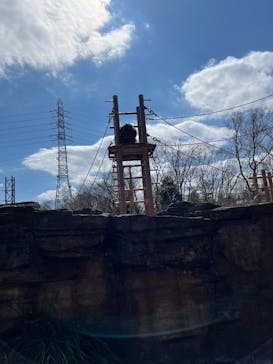 東京動物園協会_多摩動物公園に投稿された画像（2025/3/20）