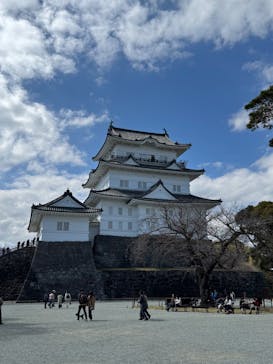 小田原城に投稿された画像（2025/3/20）