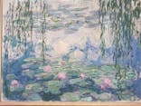モネ　睡蓮のときに投稿された画像（2025/3/20）