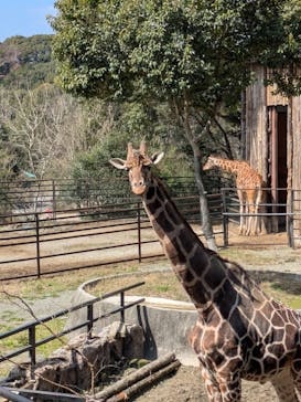 長崎バイオパークに投稿された画像（2025/3/20）