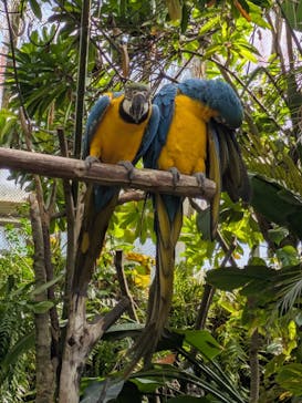 長崎バイオパークに投稿された画像（2025/3/20）