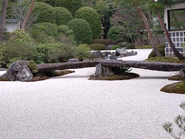 足立美術館に投稿された画像（2025/3/20）