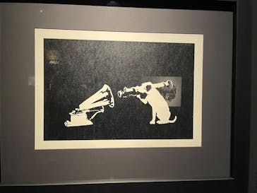 ストリートアートの進化と革命 展　- Street Art (R)Evolution -に投稿された画像（2025/3/20）