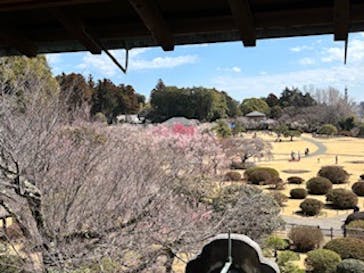 偕楽園本園に投稿された画像（2025/3/20）