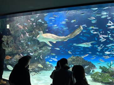 サンシャイン水族館に投稿された画像（2025/3/20）