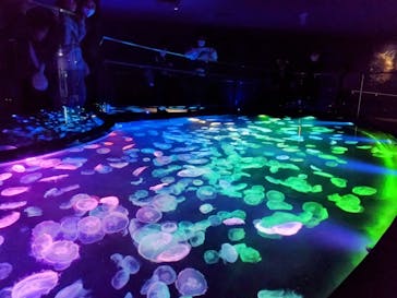 すみだ水族館に投稿された画像（2025/3/20）