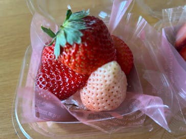 OSAKA Strawberry Festivalに投稿された画像（2025/3/20）
