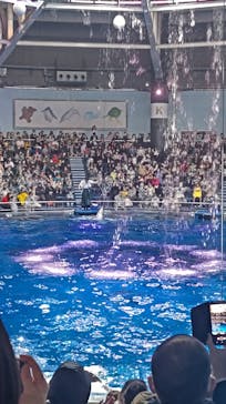 マクセル アクアパーク品川に投稿された画像（2025/3/20）