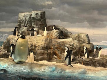 名古屋港水族館に投稿された画像（2025/3/20）