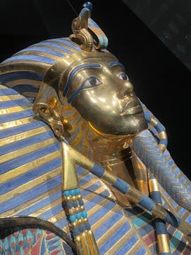 MYSTERY OF TUTANKHAMEN 体感型古代エジプト展に投稿された画像（2025/3/20）