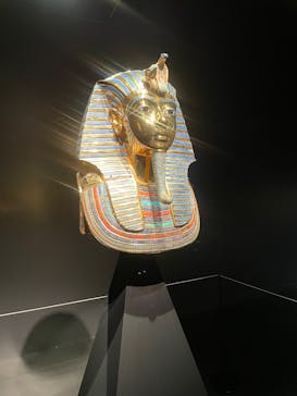 MYSTERY OF TUTANKHAMEN 体感型古代エジプト展に投稿された画像（2025/3/20）