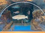 のとじま水族館に投稿された画像（2025/3/20）