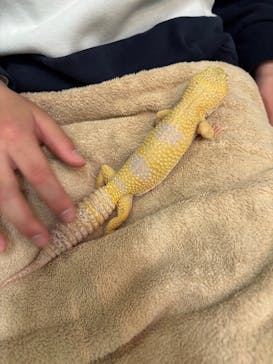 Moff animal cafe iias つくば店に投稿された画像（2025/3/20）