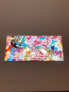 蜷川実花展 with EiM：彼岸の光、此岸の影 NINAGAWA Mika with EiM：Lights of the beyond, Shadows of this worldに投稿された画像（2025/3/20）