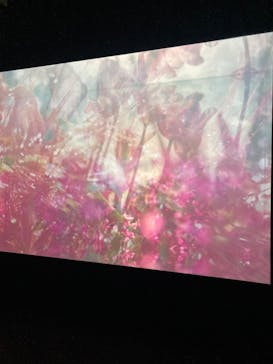 蜷川実花展 with EiM：彼岸の光、此岸の影 NINAGAWA Mika with EiM：Lights of the beyond, Shadows of this worldに投稿された画像（2025/3/20）