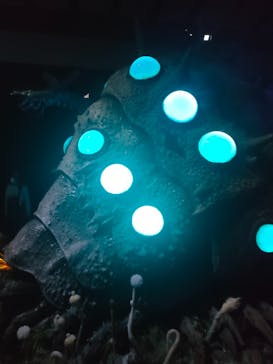 金曜ロードショーとジブリ展　三重展に投稿された画像（2025/3/20）