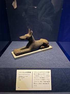 ブルックリン博物館所蔵 特別展 古代エジプトに投稿された画像（2025/3/20）
