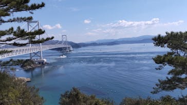 徳島県立 渦の道に投稿された画像（2025/3/20）