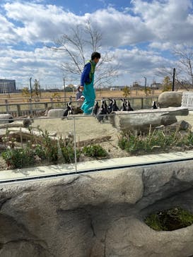 仙台うみの杜水族館に投稿された画像（2025/3/20）