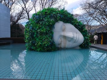 彫刻の森美術館に投稿された画像（2025/3/20）