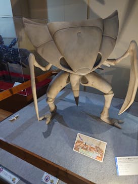 福井県立恐竜博物館に投稿された画像（2025/3/20）