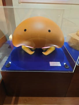 福井県立恐竜博物館に投稿された画像（2025/3/20）