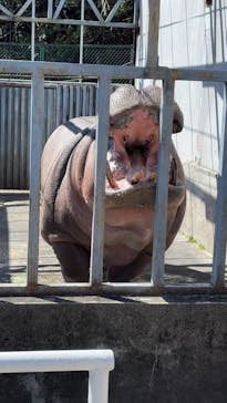 宇都宮動物園に投稿された画像（2025/3/20）