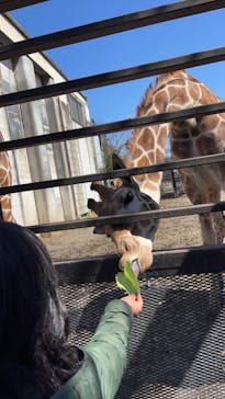 宇都宮動物園に投稿された画像（2025/3/20）