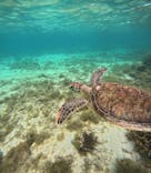 コズミックアースに投稿された画像（2025/3/20）