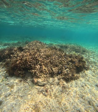 コズミックアースに投稿された画像（2025/3/20）