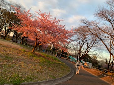 東武動物公園に投稿された画像（2025/3/20）