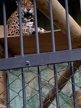 東武動物公園に投稿された画像（2025/3/20）
