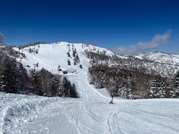 志賀高原焼額山スキー場に投稿された画像（2025/3/20）