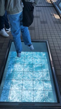 徳島県立 渦の道に投稿された画像（2025/3/20）